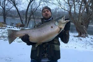Calvin Johnston and his brown trout weighing 38 pounds 7 ounces. (photo from Ozark County Times)