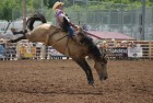 rodeo