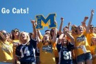 bobcats
