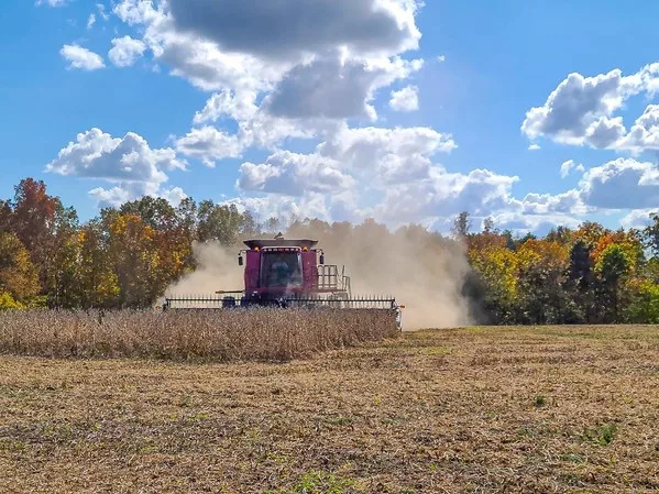 February Wasde Shows Higher Corn Soybean Ending Stocks Kfeq