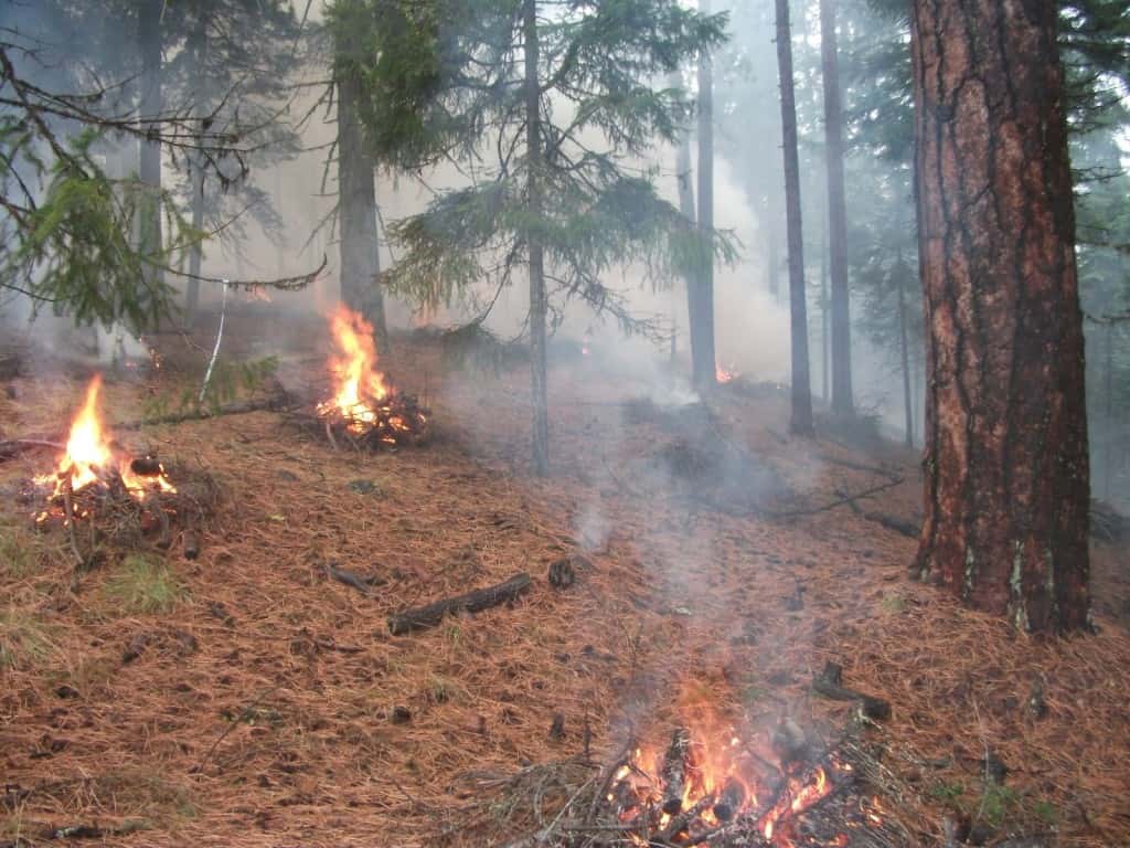 Prescribed Burning Begins on the Deschutes National Forest