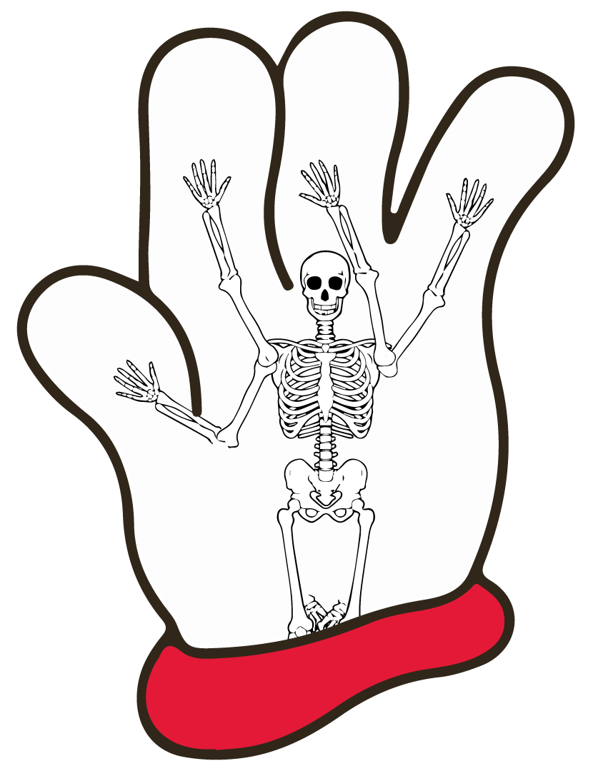 PHOTO The Hamburger Helper Hand Reveals What Its Skeleton Looks Like