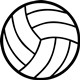 Volleyball (SMALL 80 X 80)