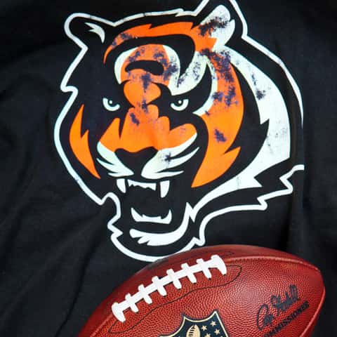 BengalsBeatBrownsNow8-0..jpg