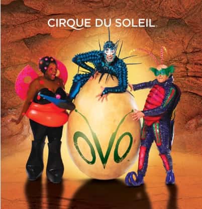 OVO from Cirque du Soleil
