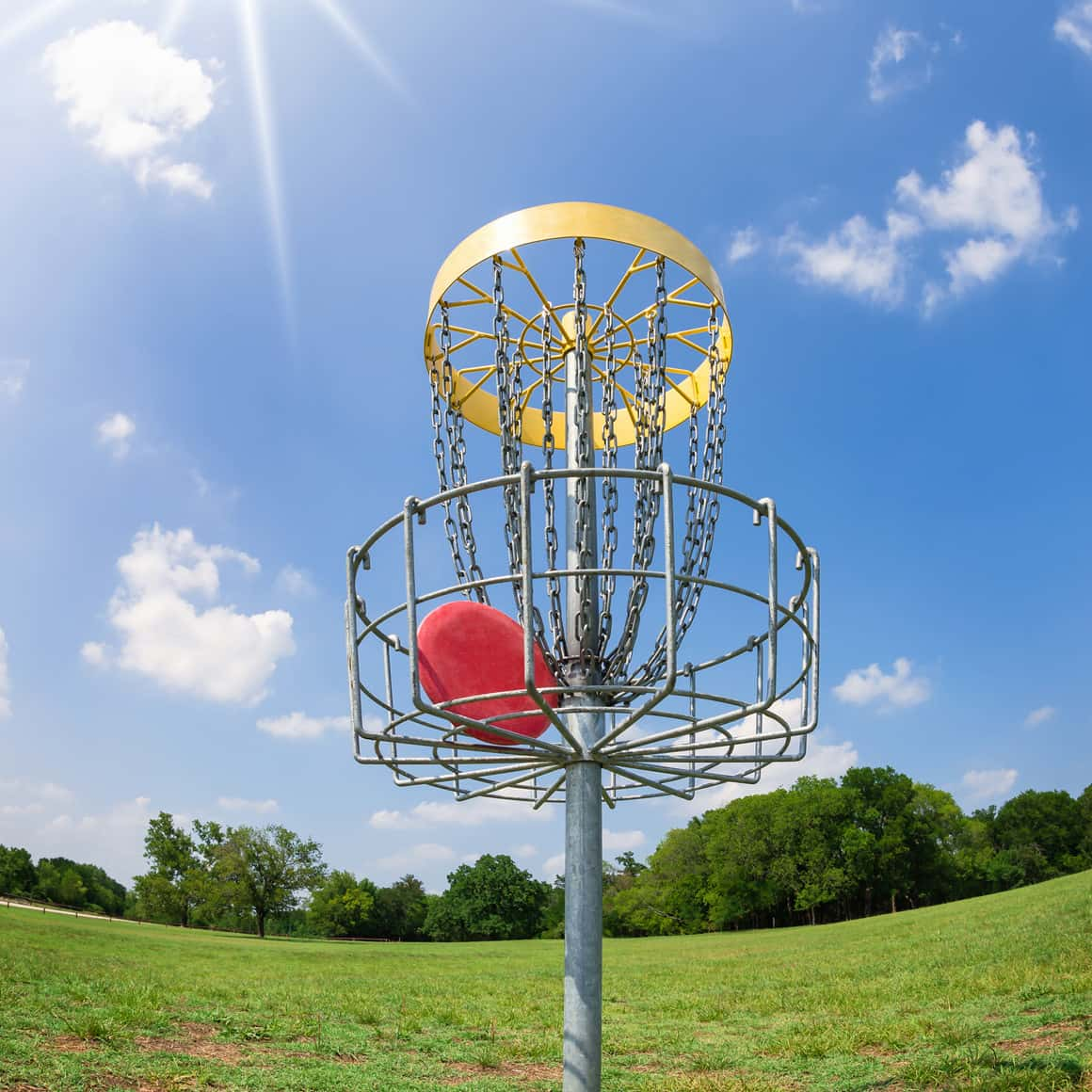 Dankwardt Park Disc Golf Course To Be Expanded Behind James Madison