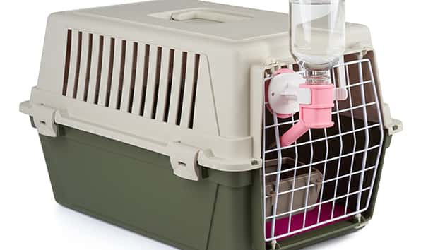 United reached resolution with rabbit's breeder