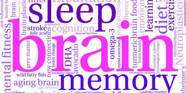 Image of text whoing bran, sleep, and other related items of sleeping well.