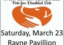 m&a labrador kennels