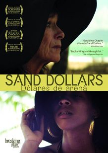 sand-dollars