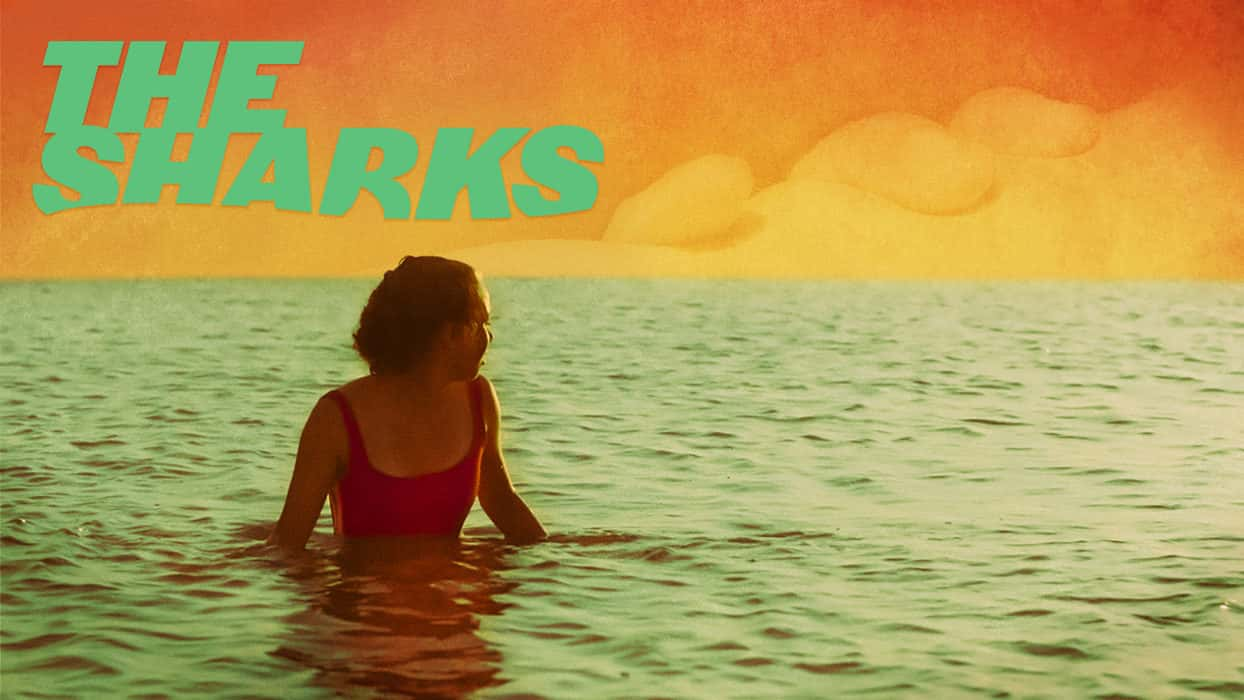 thesharks_horizontal_1920x1080