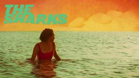 the-sharks-2020-official-trailer-breaking-glass-pictures-movie