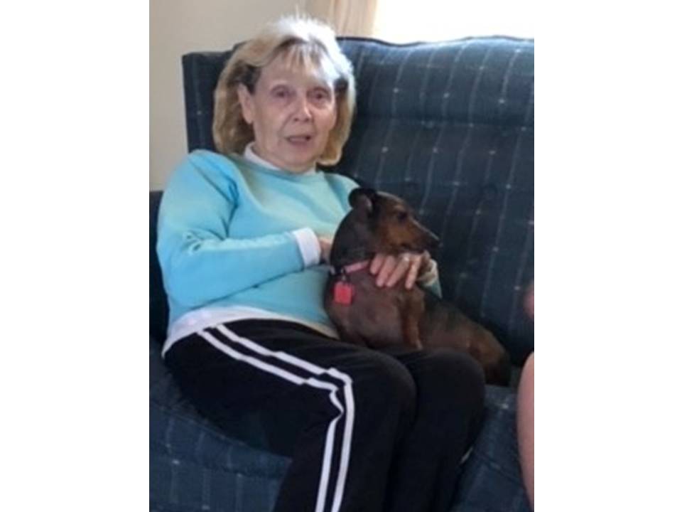 Missing Republic Woman Found Dead - Vimarsana News