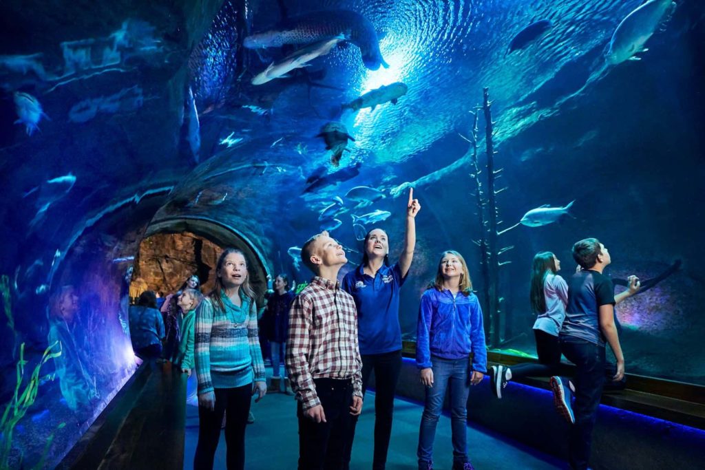 Wonders Of Wildlife Nominated For Best Aquarium - Vimarsana News