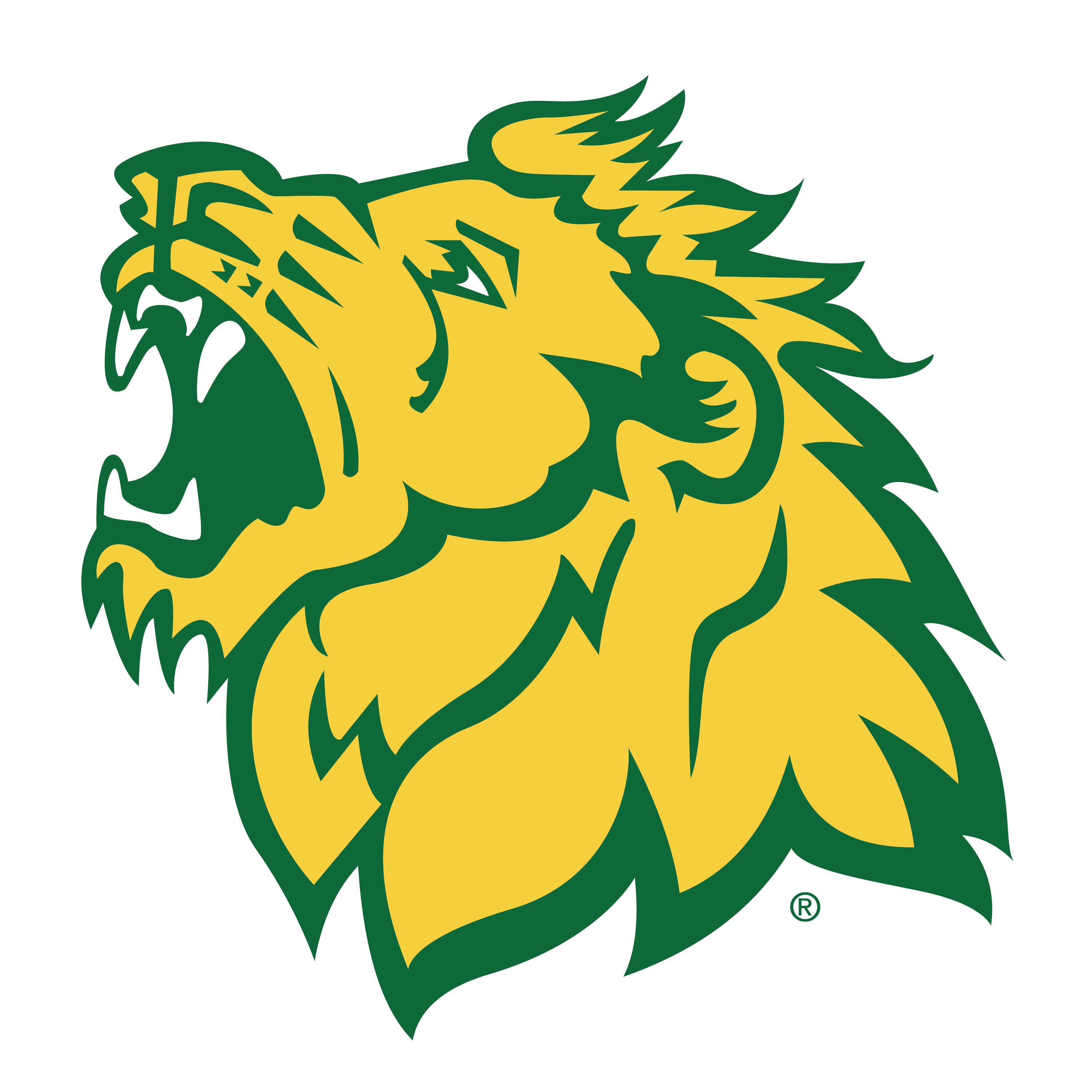 Missouri Southern University to Transition to Online Classes After