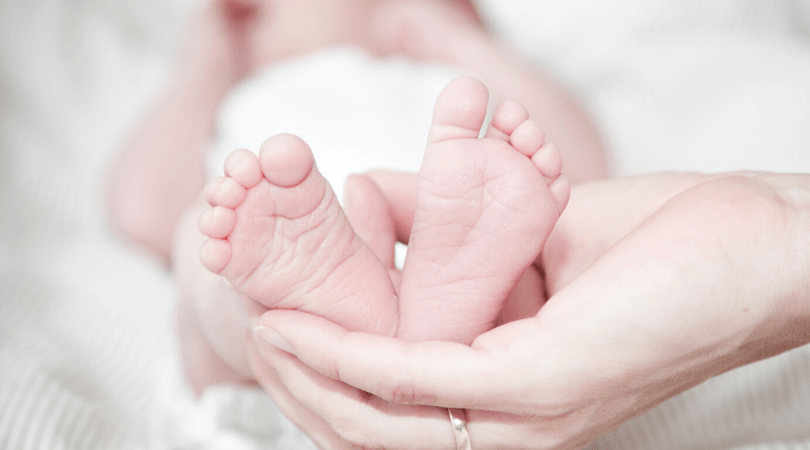 Nick Reed PODCAST 04.08.221 – Abortion Laws, The Lyin' Media, and MORE. | 104.1 FM - Vimarsana News