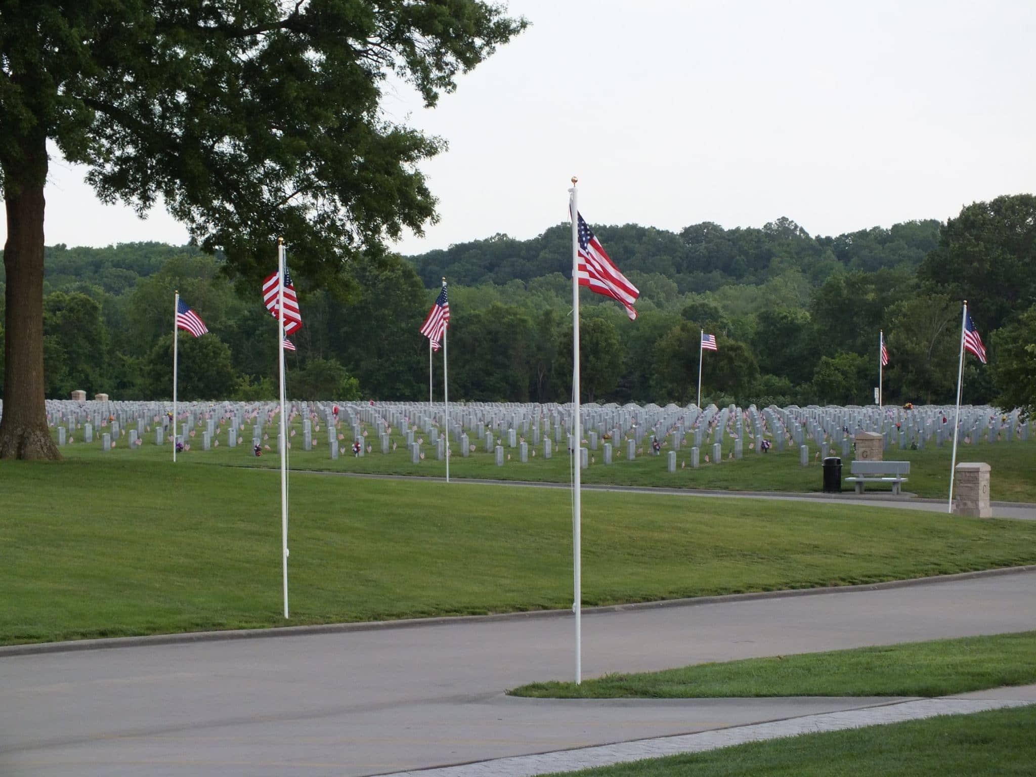 Memorial Day Celebration In Springfield - Vimarsana News