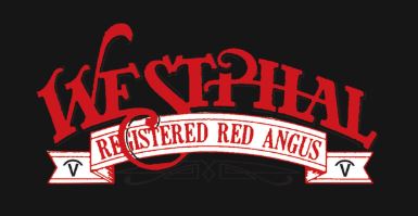 Westphal Red Angus Sale
