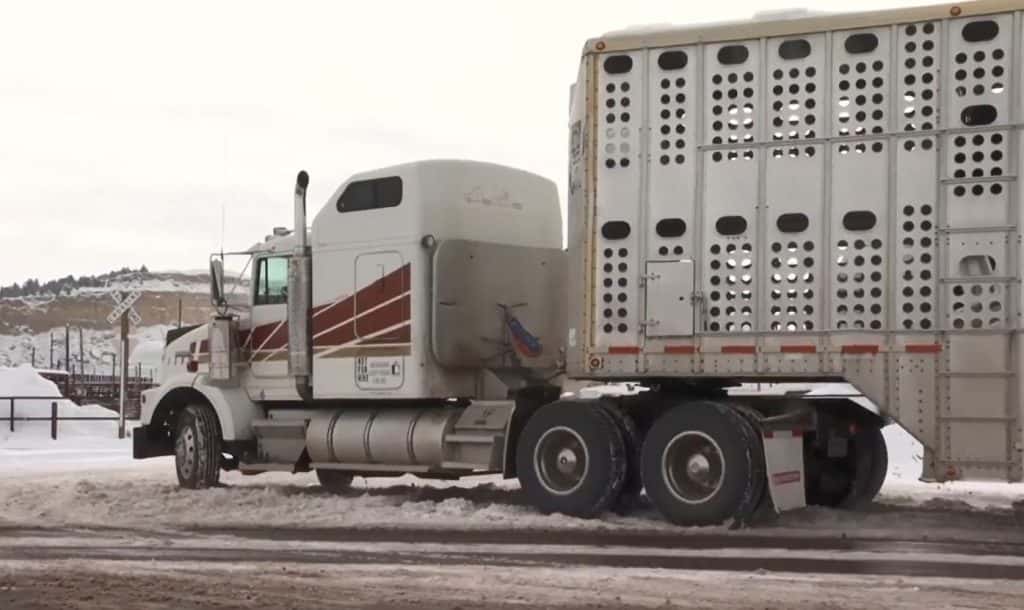 Bipartisan Legislation to Exempt Truckers From ELD Mandate Reintroduced