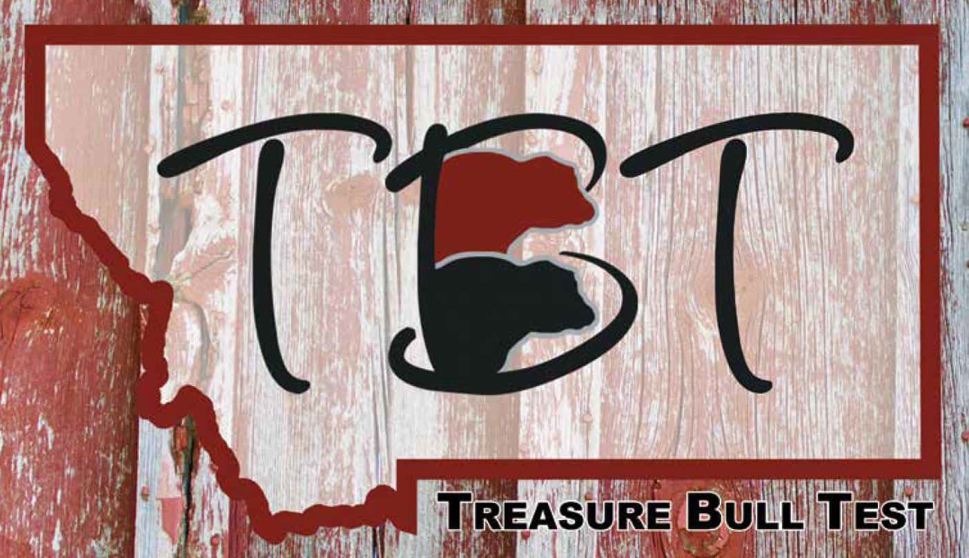 Treasure Bull Test Annual Sale