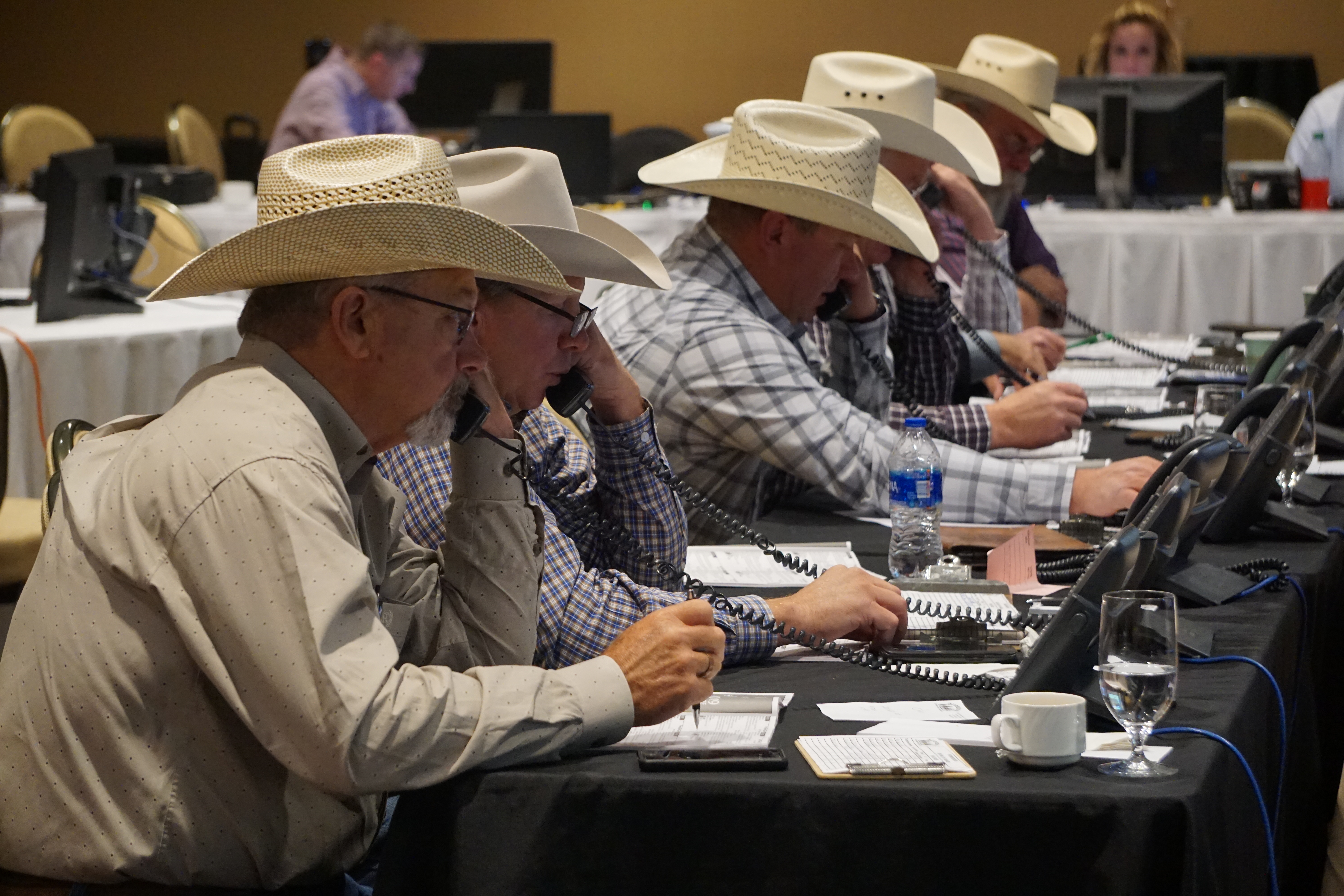 Superior Livestock Auction Holds Big Sky Roundup In Billings