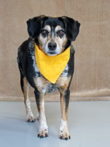 Adopt Beatrix