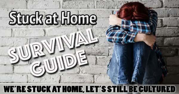 stuck at home reviews stuck at home reviews