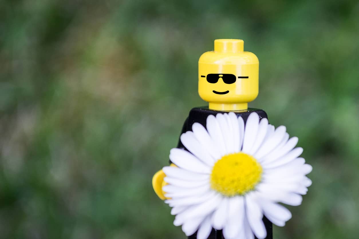 Lego Released A Botanical Series For Adults Carina 