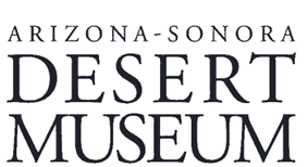 Cool Summer Nights at The Desert Museum