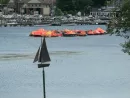 451702508_10232441492360955_4910612056481186014_n