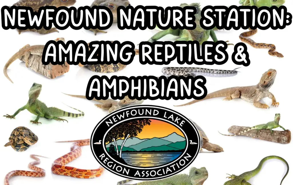 reptiles-amphibians-com-calendar-082025-png