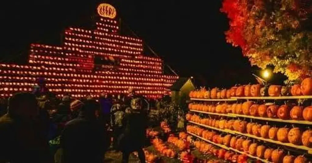 516911371_122126838548857905_8333217785735462117_n