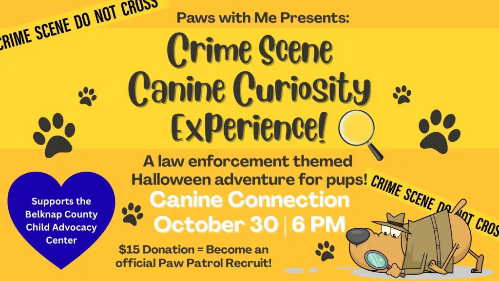 565091036_795370989935143_6407719193905844417_n