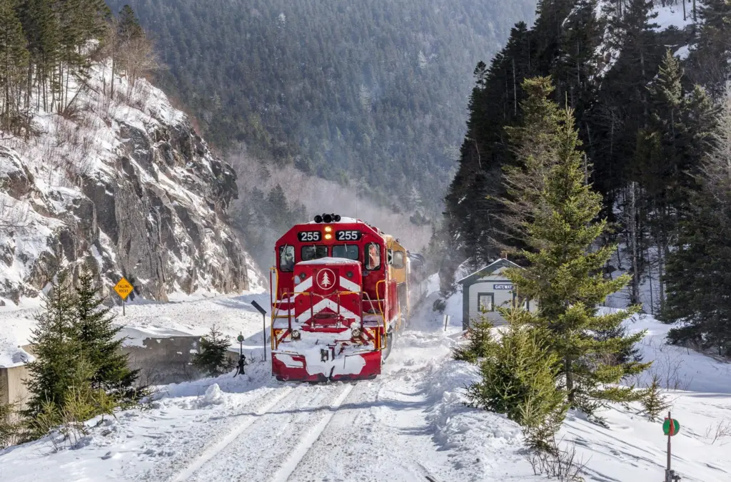 492448902_1196543965851142_7449347031353880845_n