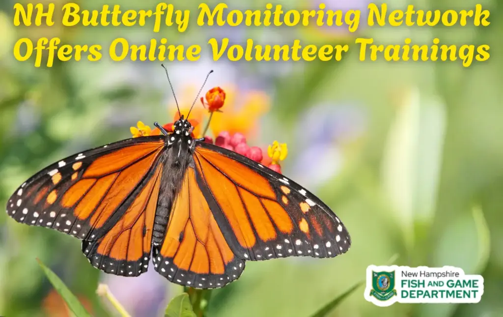 butterfly-monitoring-training-community-calendar-2026-png