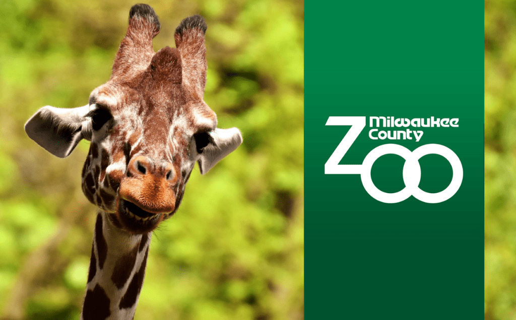 Win 4 Packs of Tickets to the Milwaukee Zoo 94.9 WDKB