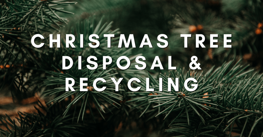 Christmas Tree Disposal & Recycling 94.9 WDKB