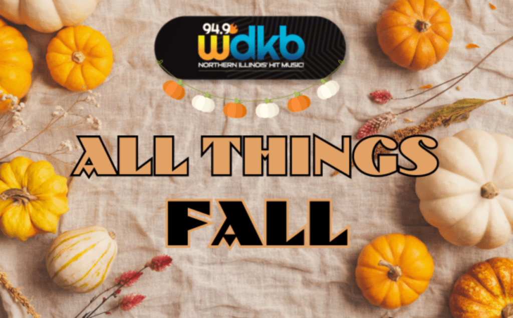 all-things-fall-flipper-image