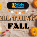 all-things-fall-flipper-image