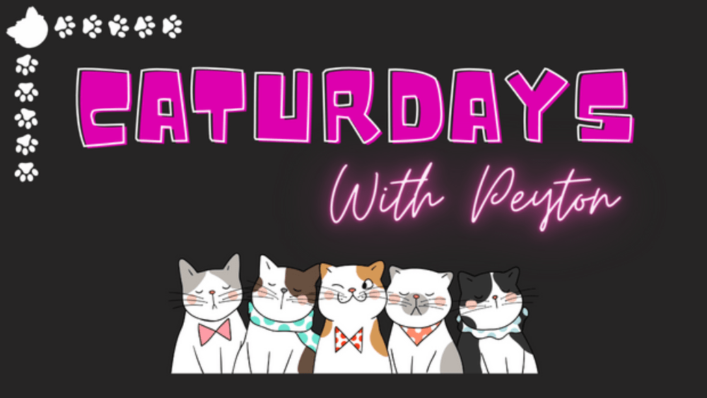 caturdays-with-peyton-rrc-sized-feature-image-png-9