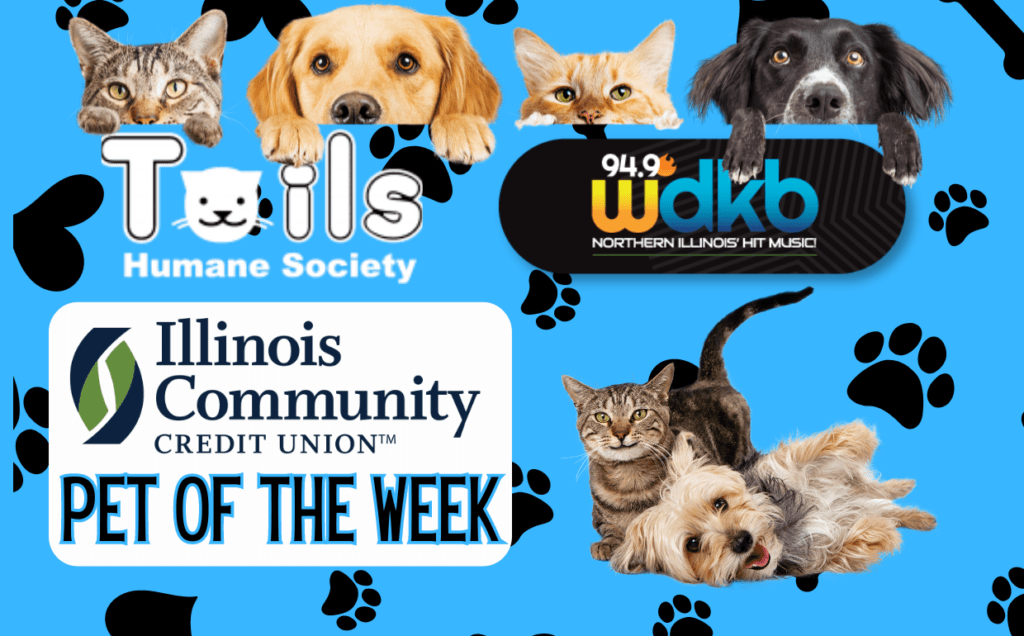 pet-of-the-week-with-iccu-slider