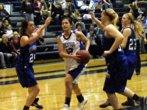 blue-jay-basketball-juliefuchs