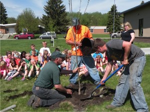  Mrs. Wilmes’ kindergarten class and Mrs. Altringer’s first grade class observe as Dan Preston of Pine Country Nursery planted one of the 11 new trees at the school.