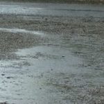 stock-footage-man-runs-for-cover-through-gravel-driveway-on-rainy-day-while-car-drives-on-wet-road-in-background