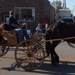 horse-and-buggy-2