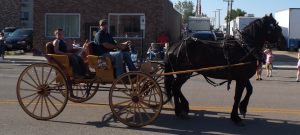 horse-and-buggy-2