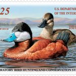 2015-2016-federal-duck-stamp