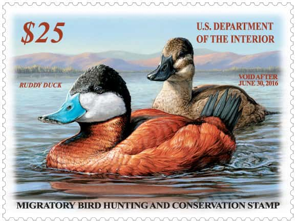 2015-2016-federal-duck-stamp