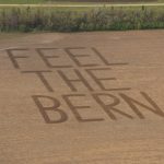 feel-the-bern