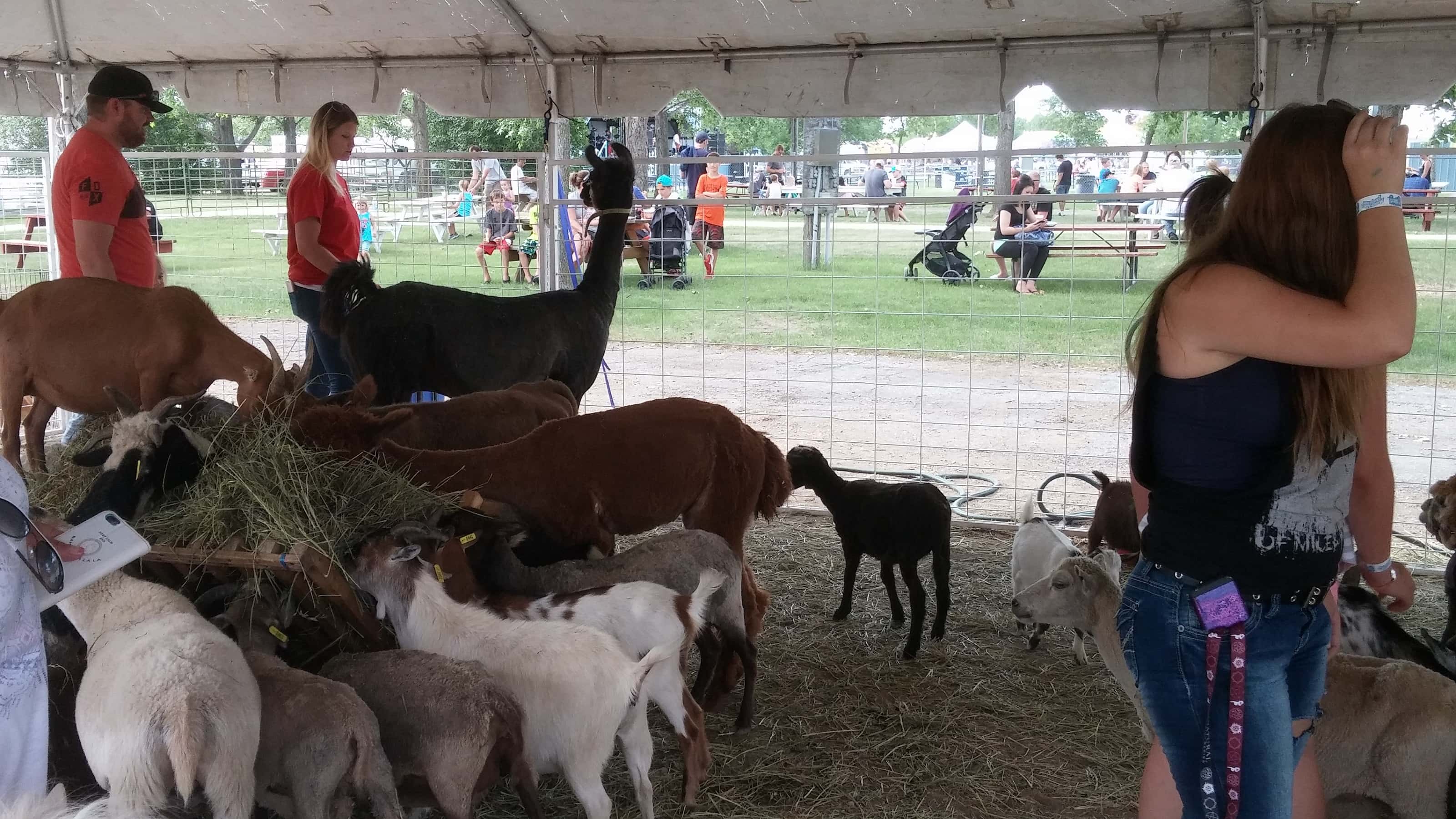 119th Annual Stutsman County Fair Features Something for Everyone